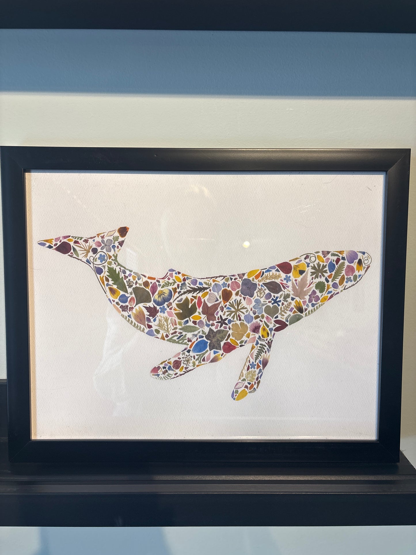 Beauty Of Botany - Whale in Frame - 11x14
