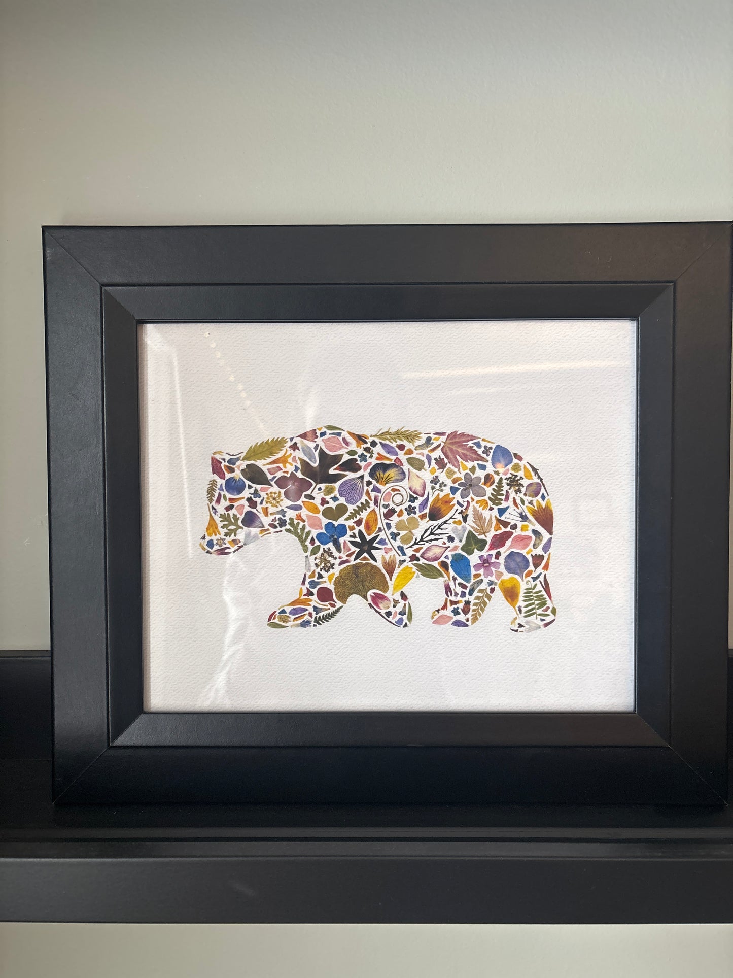 Beauty Of Botany - Bear Print in Frame - 8x10