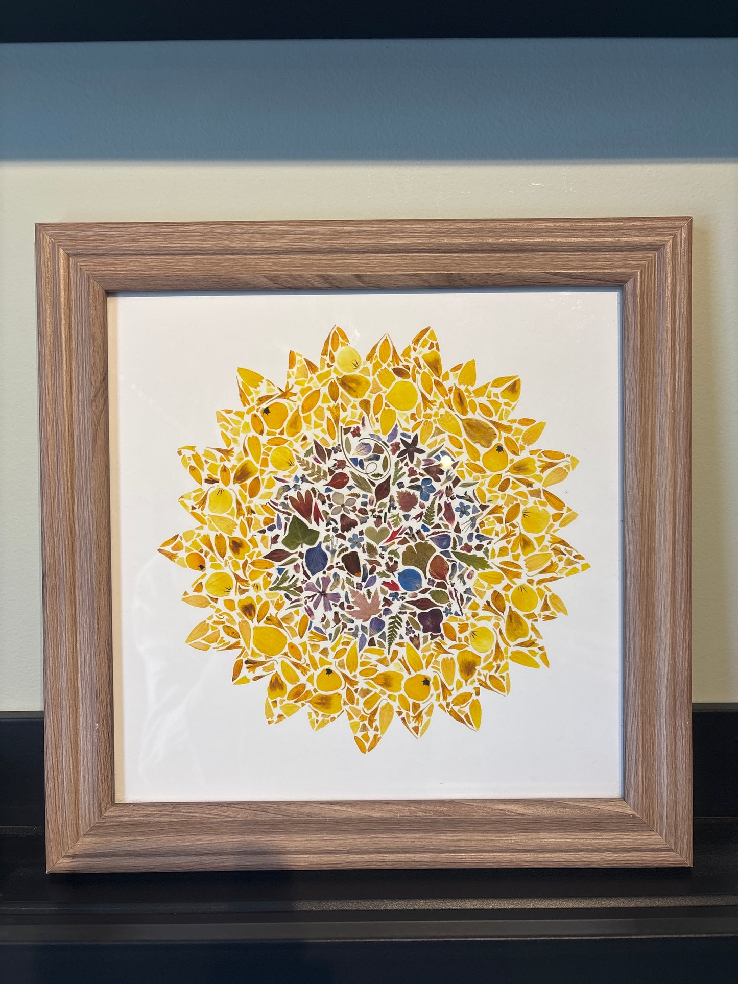 Beauty Of Botany - Sunflower in Frame - 10x10