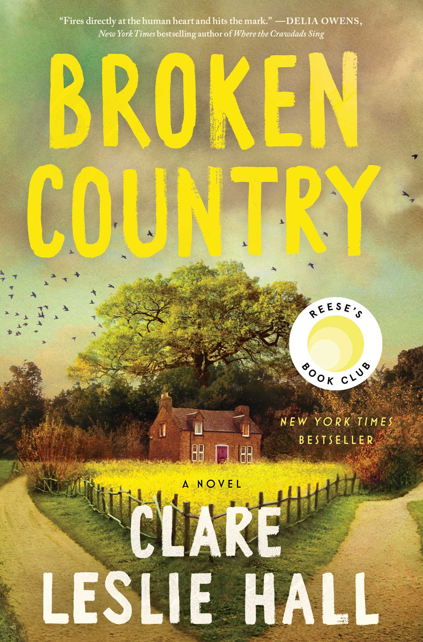 Broken Country - Clare Leslie Hall