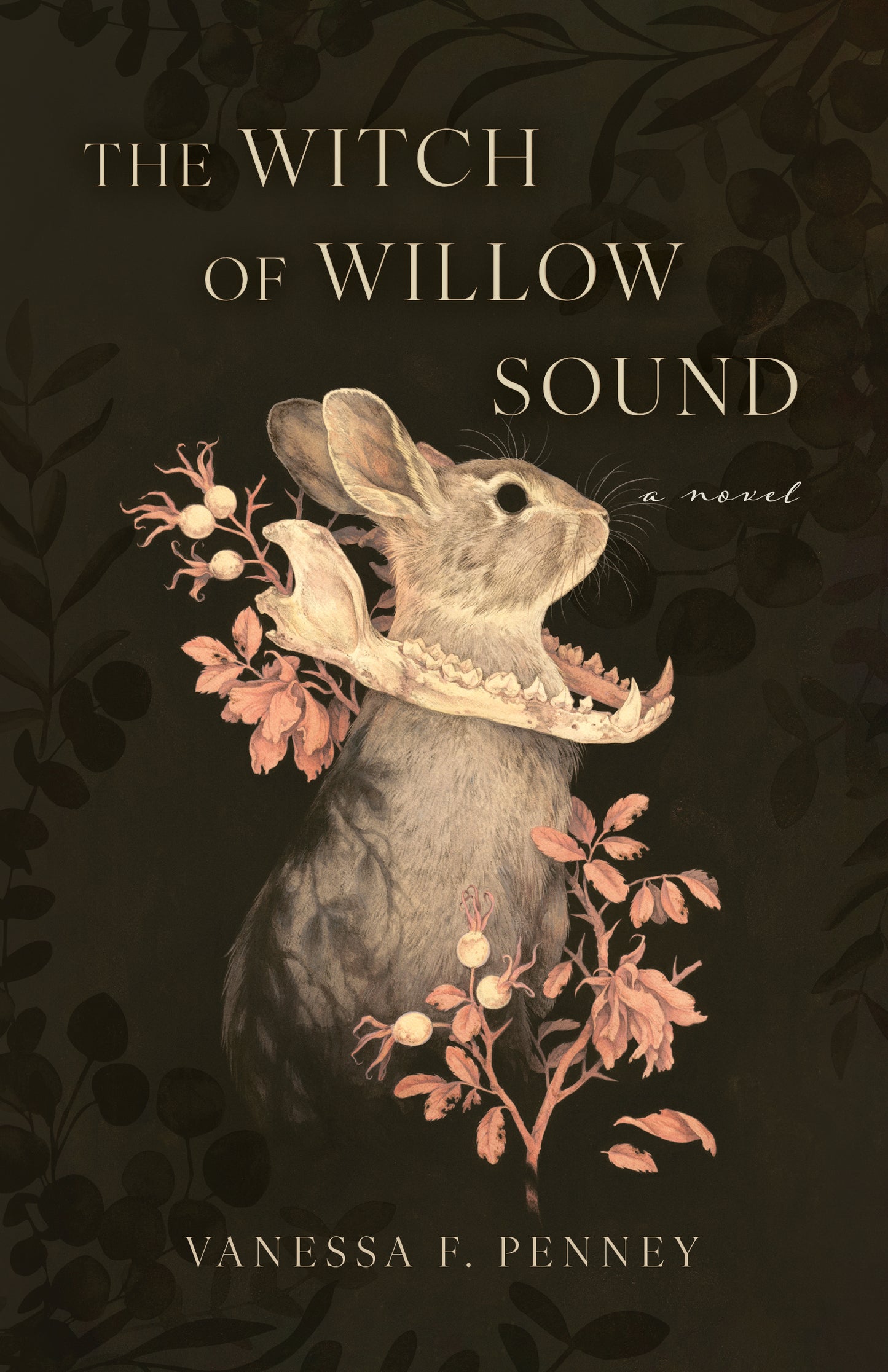 The Witch Of Willow Sound - Vanessa F. Penney