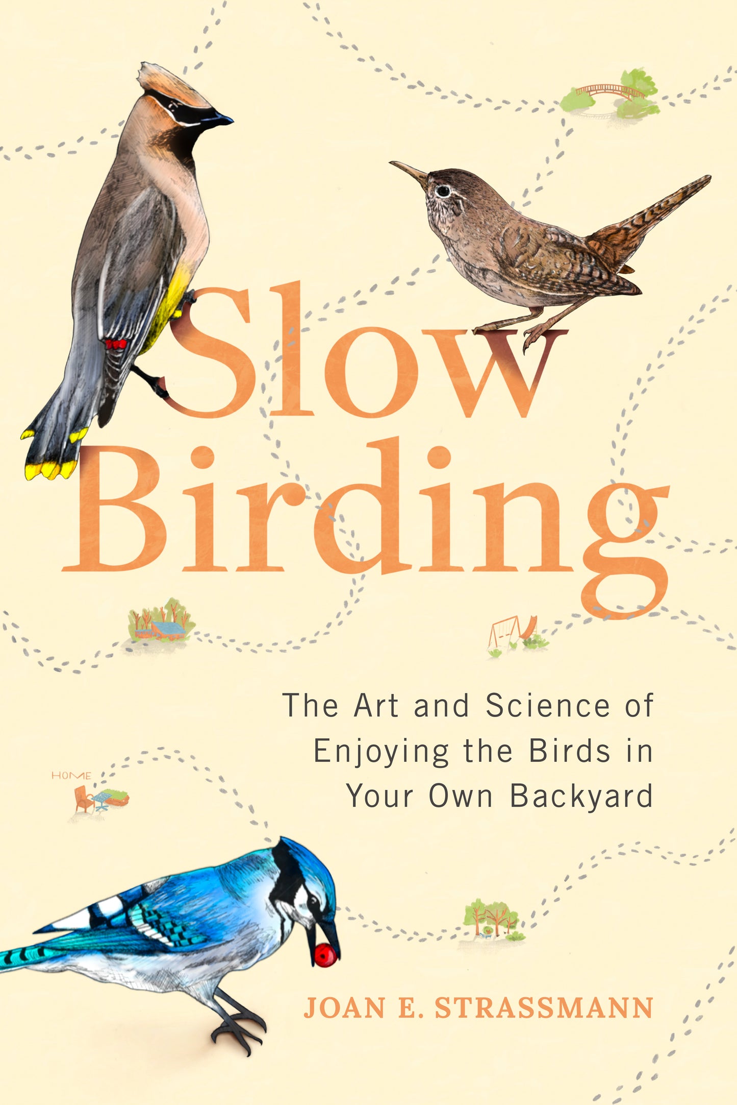 Slow Birding - Joan E. Strassmann