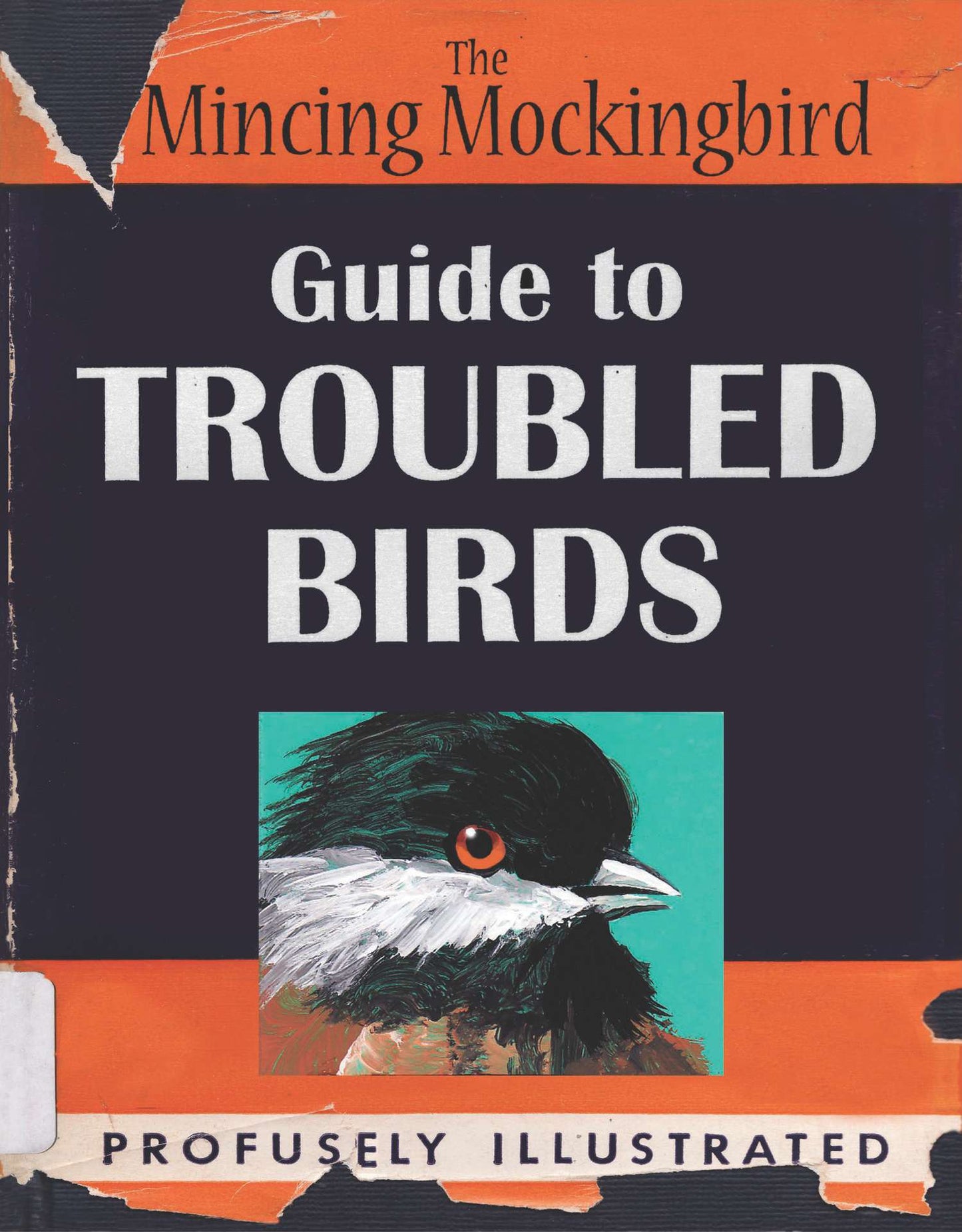 Guide To Troubled Birds - Mockingbird The Mincing