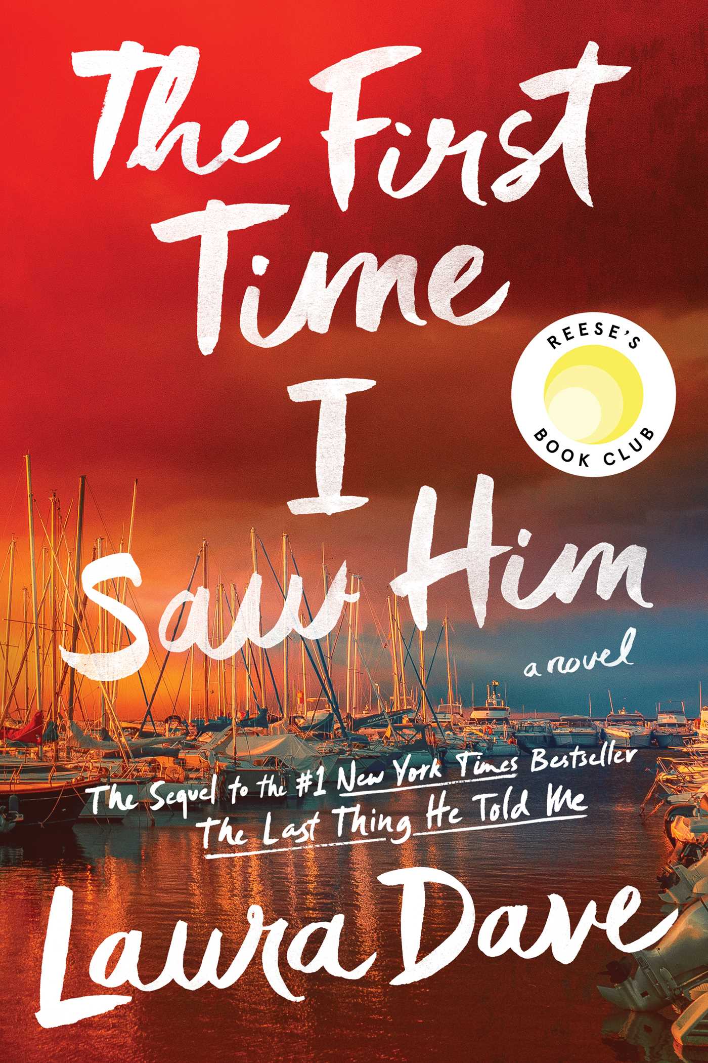 The First Time I saw Him - Laura Dave
