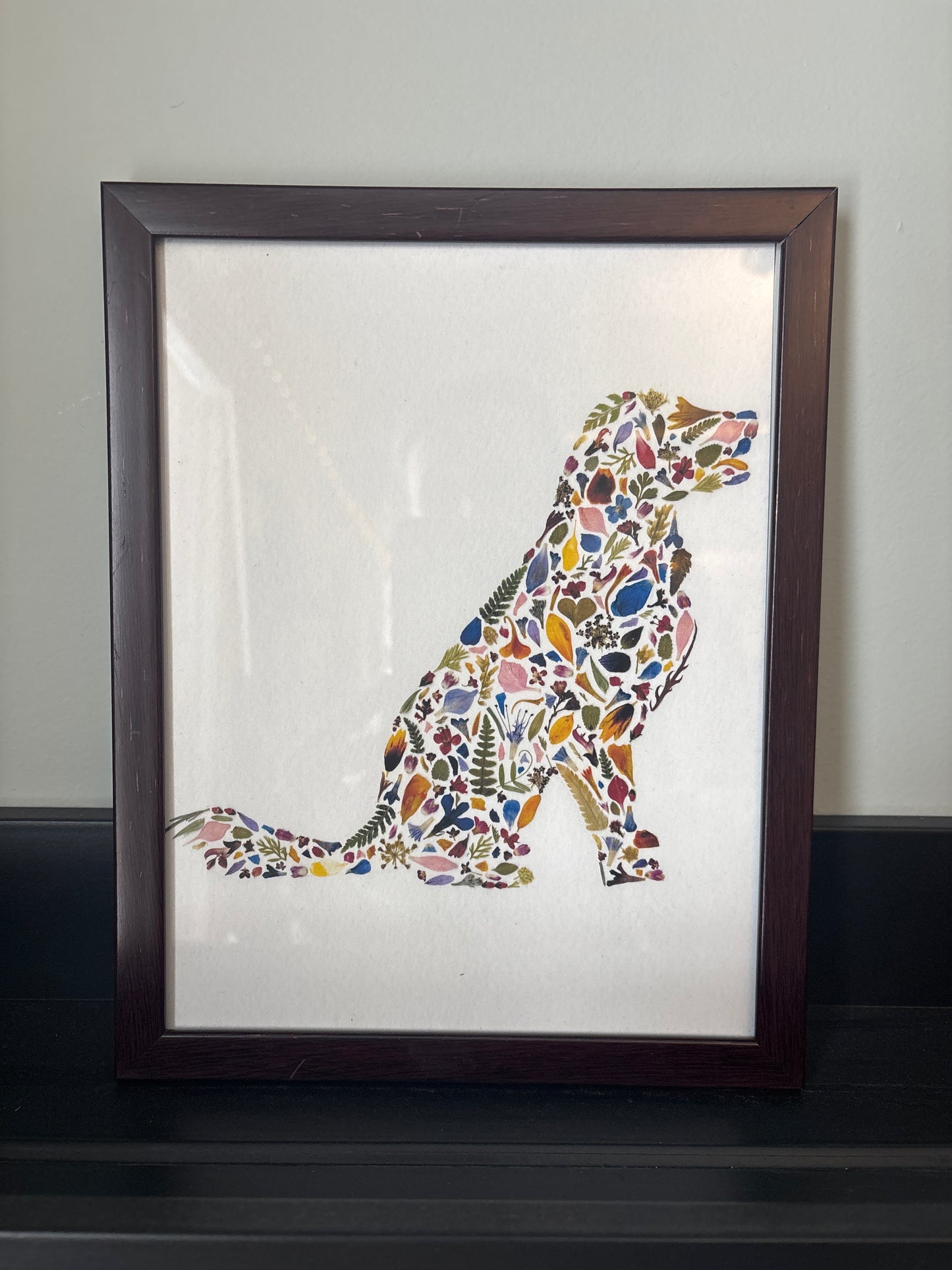 Beauty Of Botany - Dog Print in Frame - 6x8