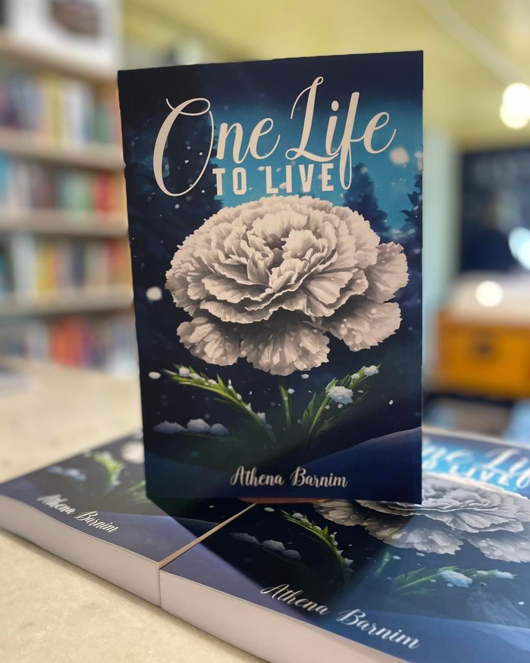 Balsam River Series: One Life To Live (Book 1) - Athena Barnim