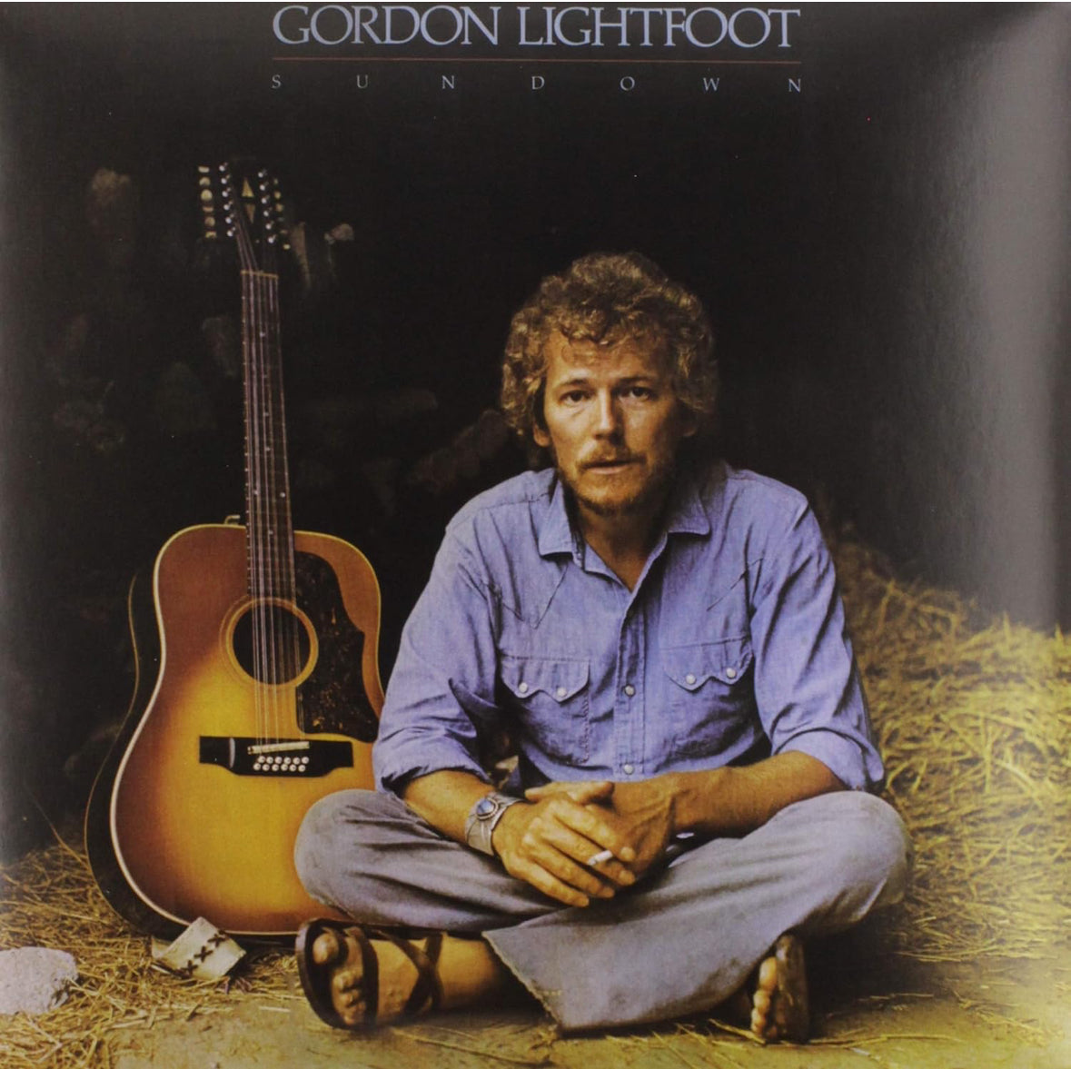 Gordon Lightfoot - Sundown (LP)