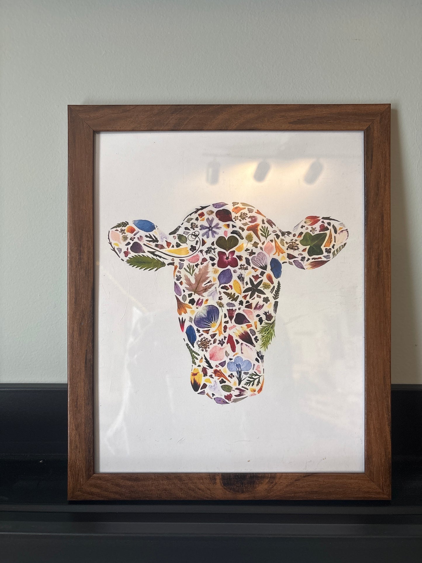 Beauty Of Botany - Cow in Frame - 8x10