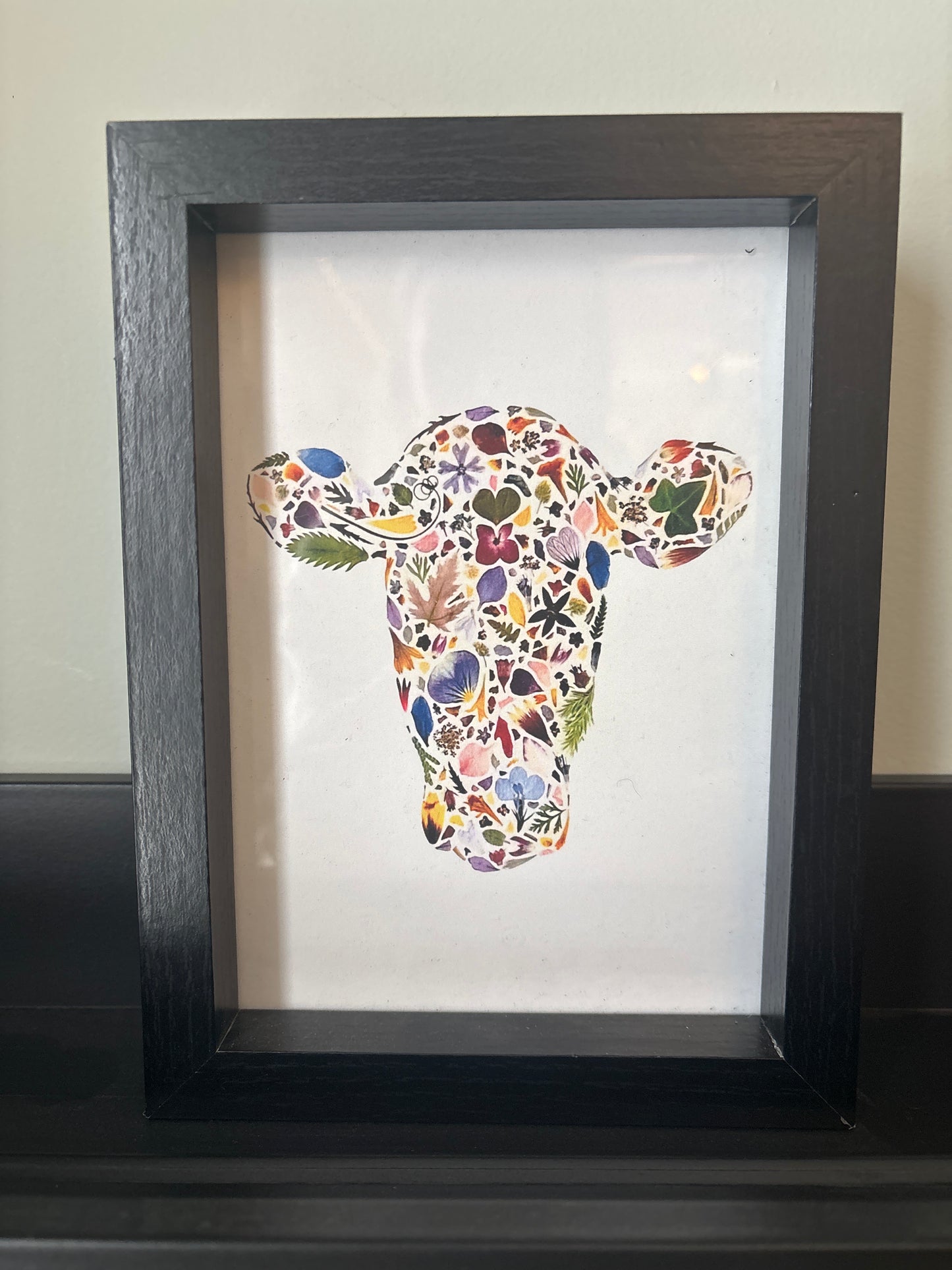 Beauty Of Botany - Cow Print in Frame - 4x6