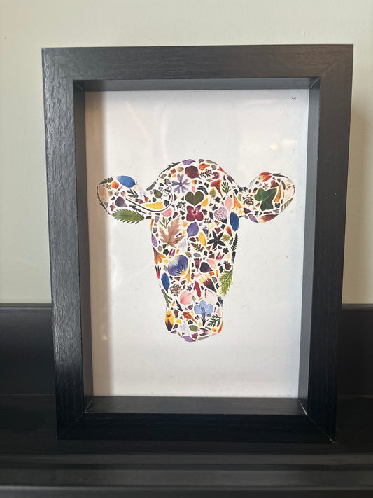Beauty Of Botany - Cow Print in Frame - 4x6