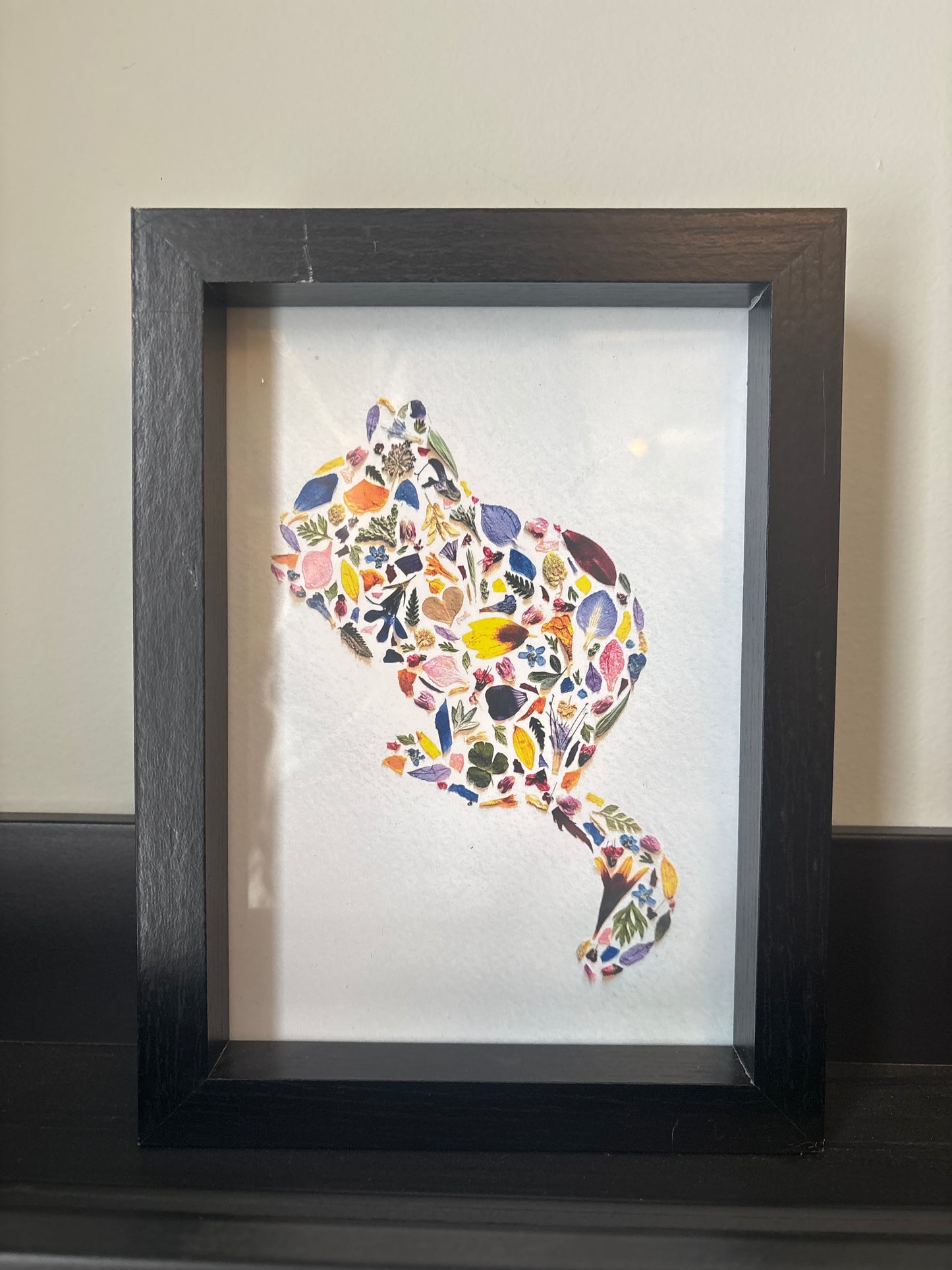 Beauty Of Botany - Squirrel Print in Frame - 4x6