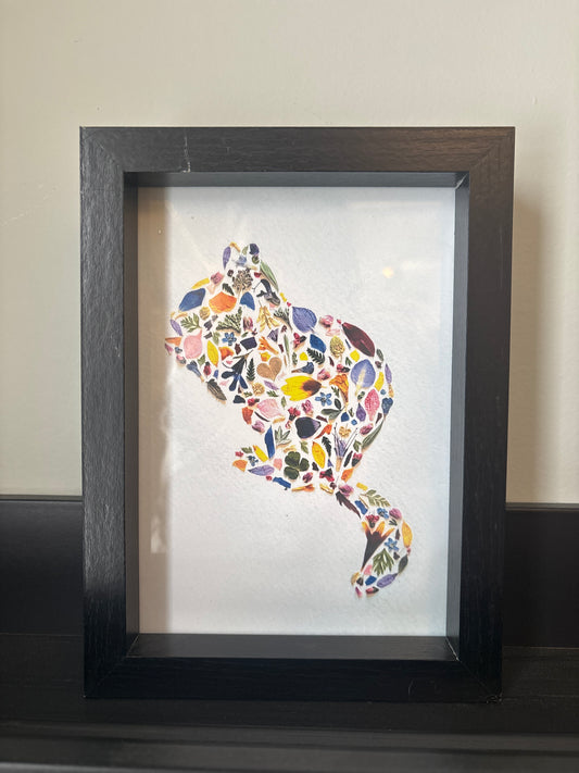 Beauty Of Botany - Squirrel Print in Frame - 4x6