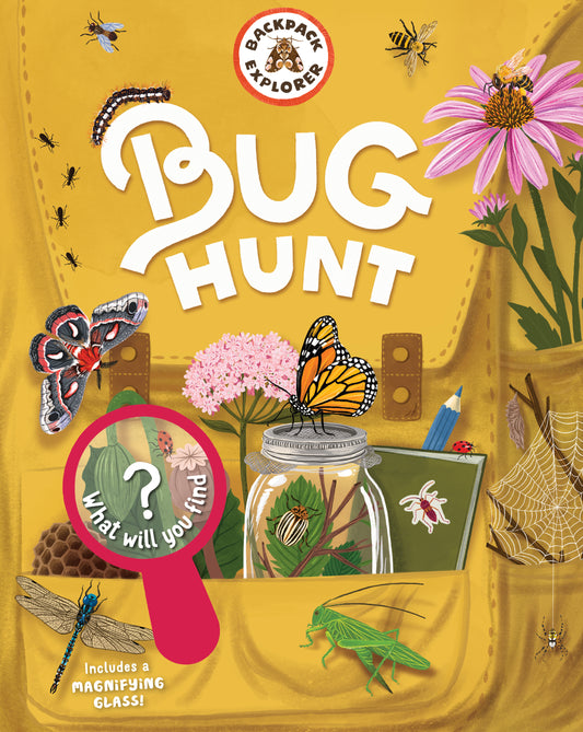 Discovering Bugs