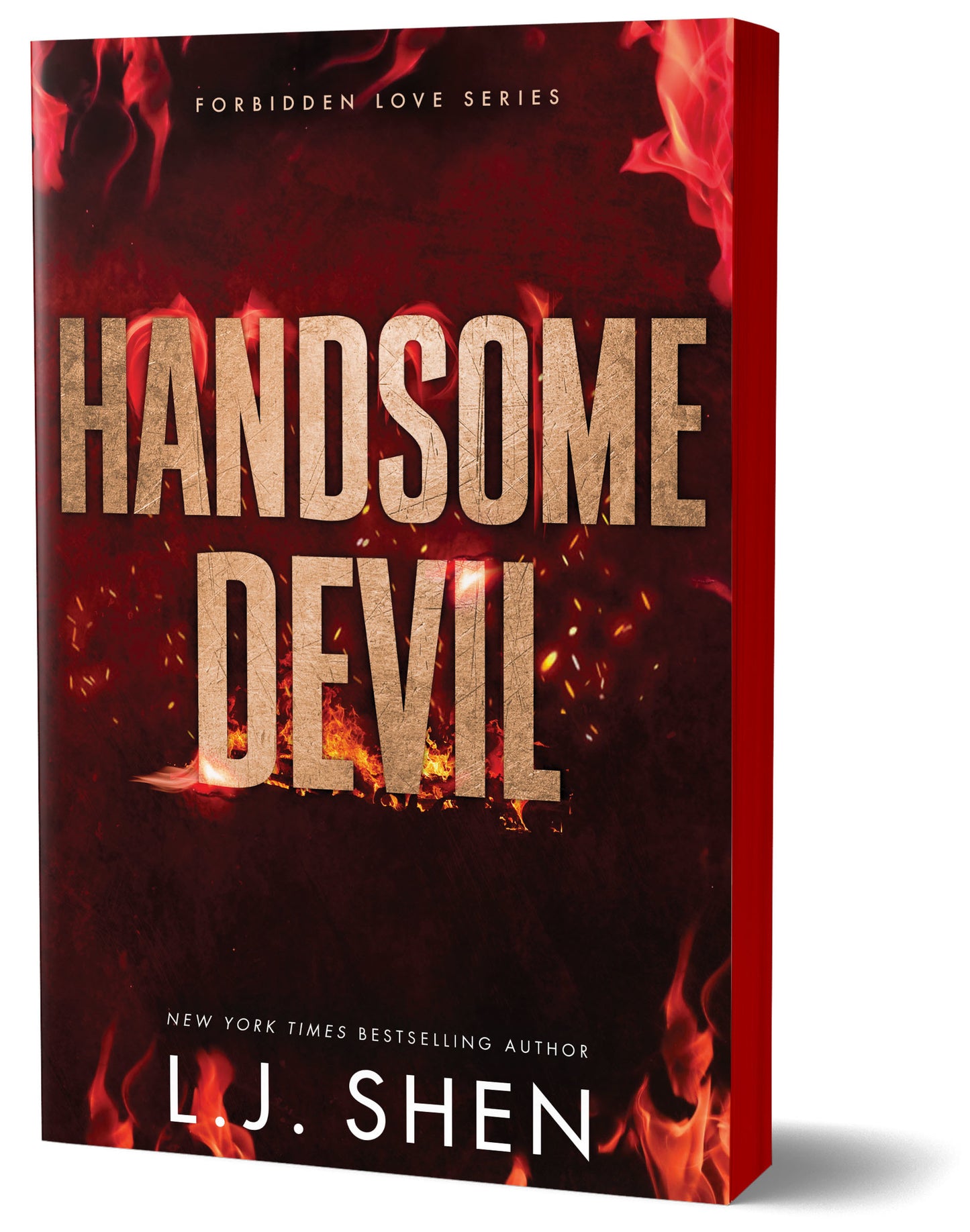 Forbidden Love Series: Handsome Devil (Book 3) - L.J. Shen
