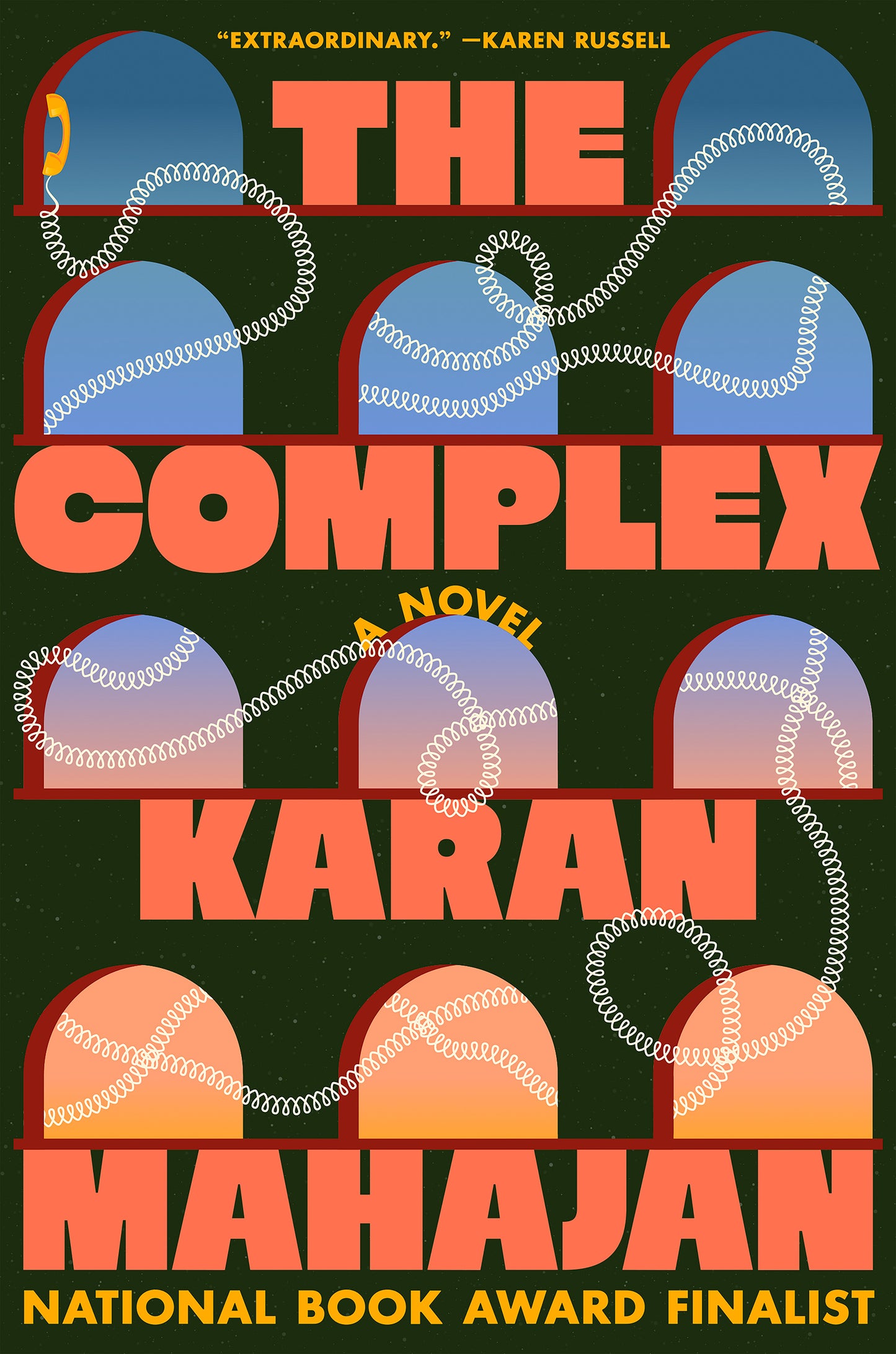 The Complex - Karan Mahajan