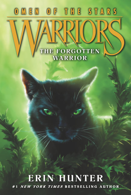Warriors - The Forgotten Warrior
