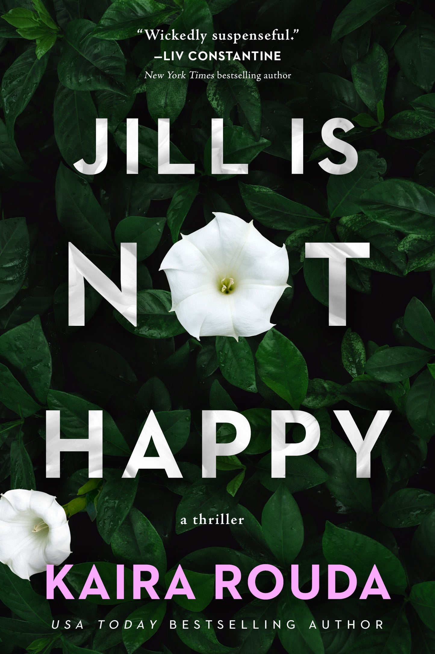 Jill is Not Happy - Kaira Rouda