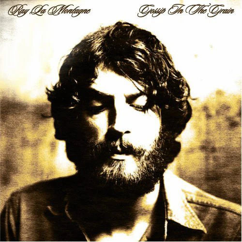 Ray La Montagne - Gossip in the Grain