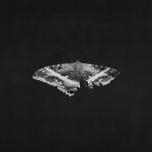 Kendrick Lamar - To Pimp A Butterfly (10th Anniversary Edition)