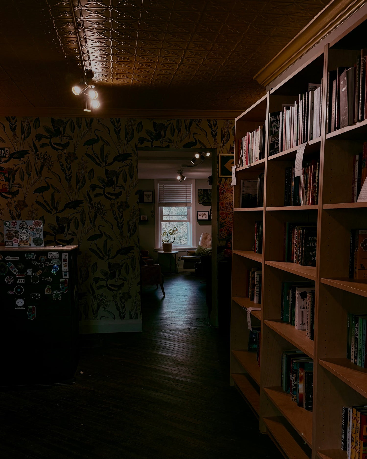 Long, dimly lit hallway with bookshelves on one side